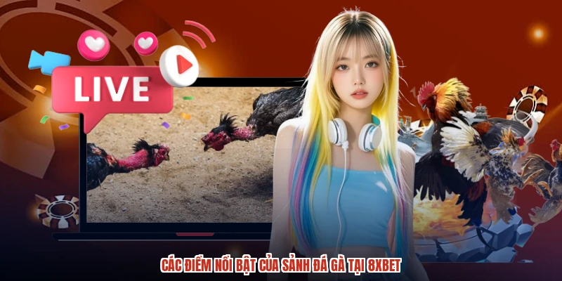 Các điểm nổi bật của sảnh đá gà tại 8XBET