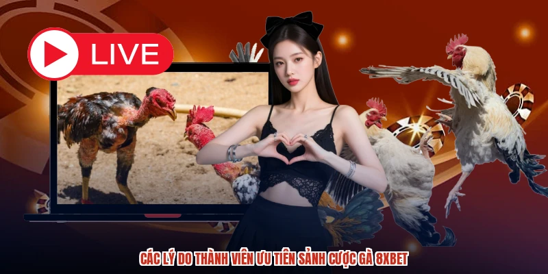 Các lý do thành viên ưu tiên sảnh cược gà 8XBET Các lý do thành viên ưu tiên sảnh cược gà 8XBET