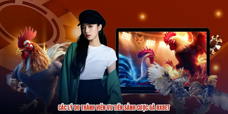 Các lý do thành viên ưu tiên sảnh cược gà 8XBET