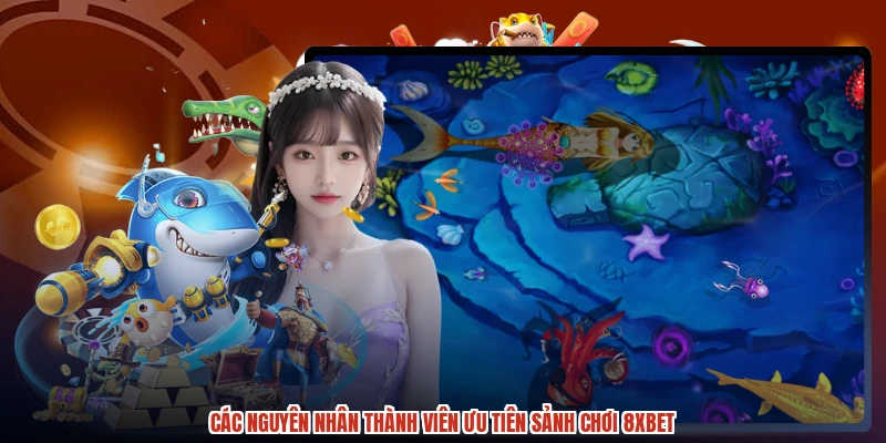 Các nguyên nhân thành viên ưu tiên sảnh chơi 8XBET