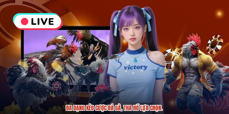 Đa dạng kèo cược đá gà, tha hồ lựa chọn.