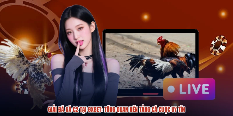 Giải Đá Gà C2 Tại 8XBET: Tổng Quan Nền Tảng Cá Cược Uy Tín