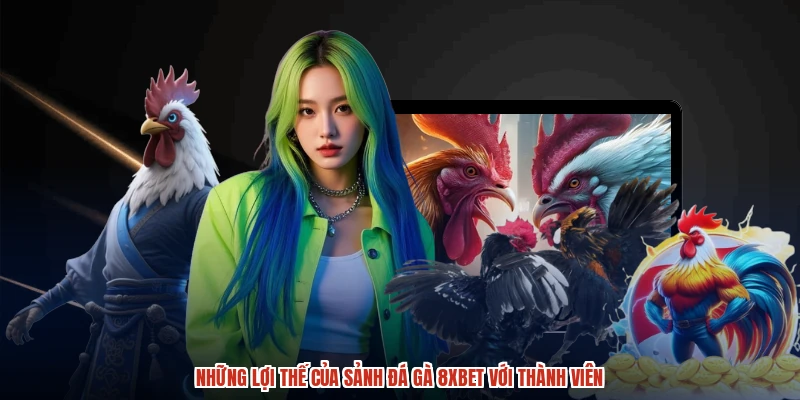 Những lợi thế của sảnh đá gà 8XBET với thành viên