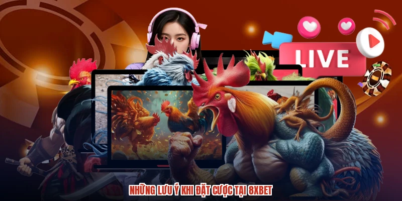 Các hình thức cược nổi bật chinh phục thành viên 8XBET
