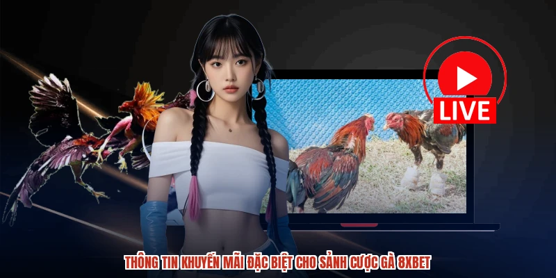 Thông tin khuyến mãi đặc biệt cho sảnh cược gà 8XBET