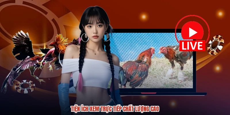 Tiện ích xem trực tiếp chất lượng cao