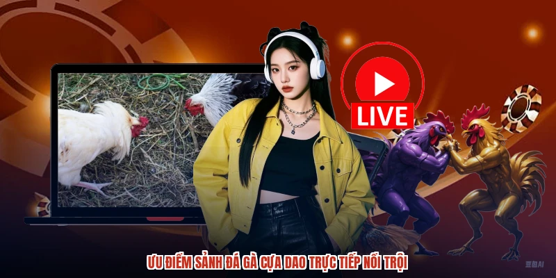 Ưu điểm sảnh đá gà cựa dao trực tiếp nổi trội